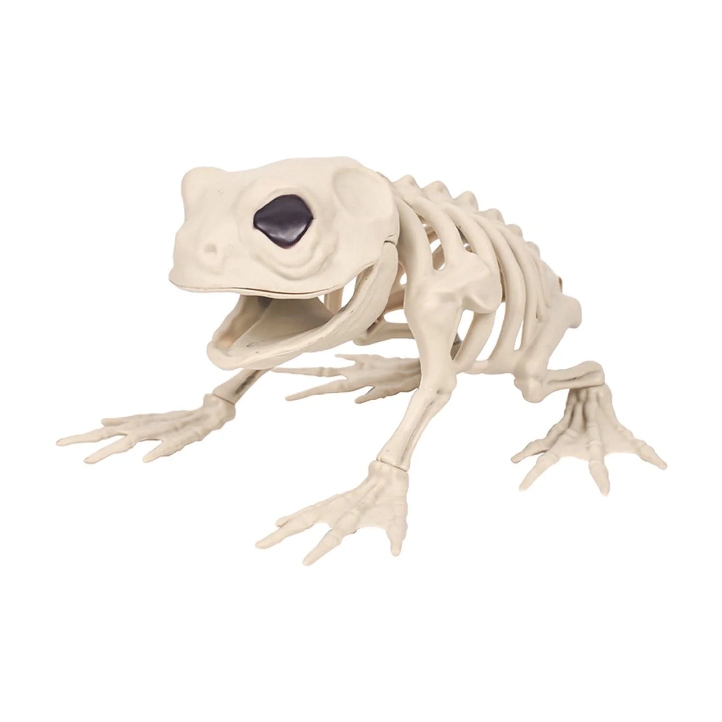 Halloween Decoration Halloween Skeleton Horror Decorations Simulation Animals Skeleton Ornaments Bar Decoration Frogs Skeleton on Clearance