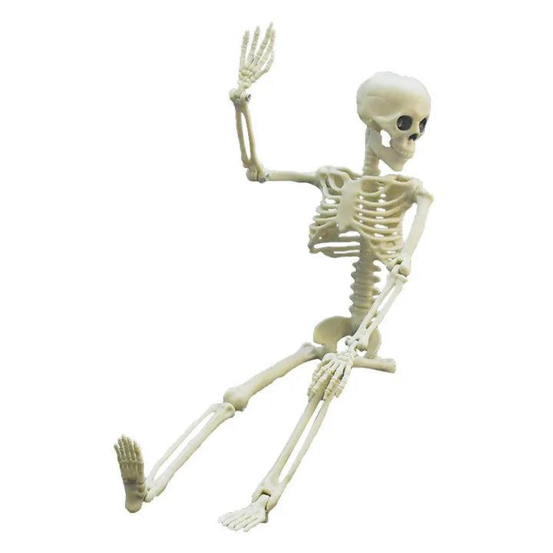 Large Halloween Skeleton Plastic Simulation Skull Skeleton Anatomical Skeleton Model Haunted House Bar Halloween Party Decoratio