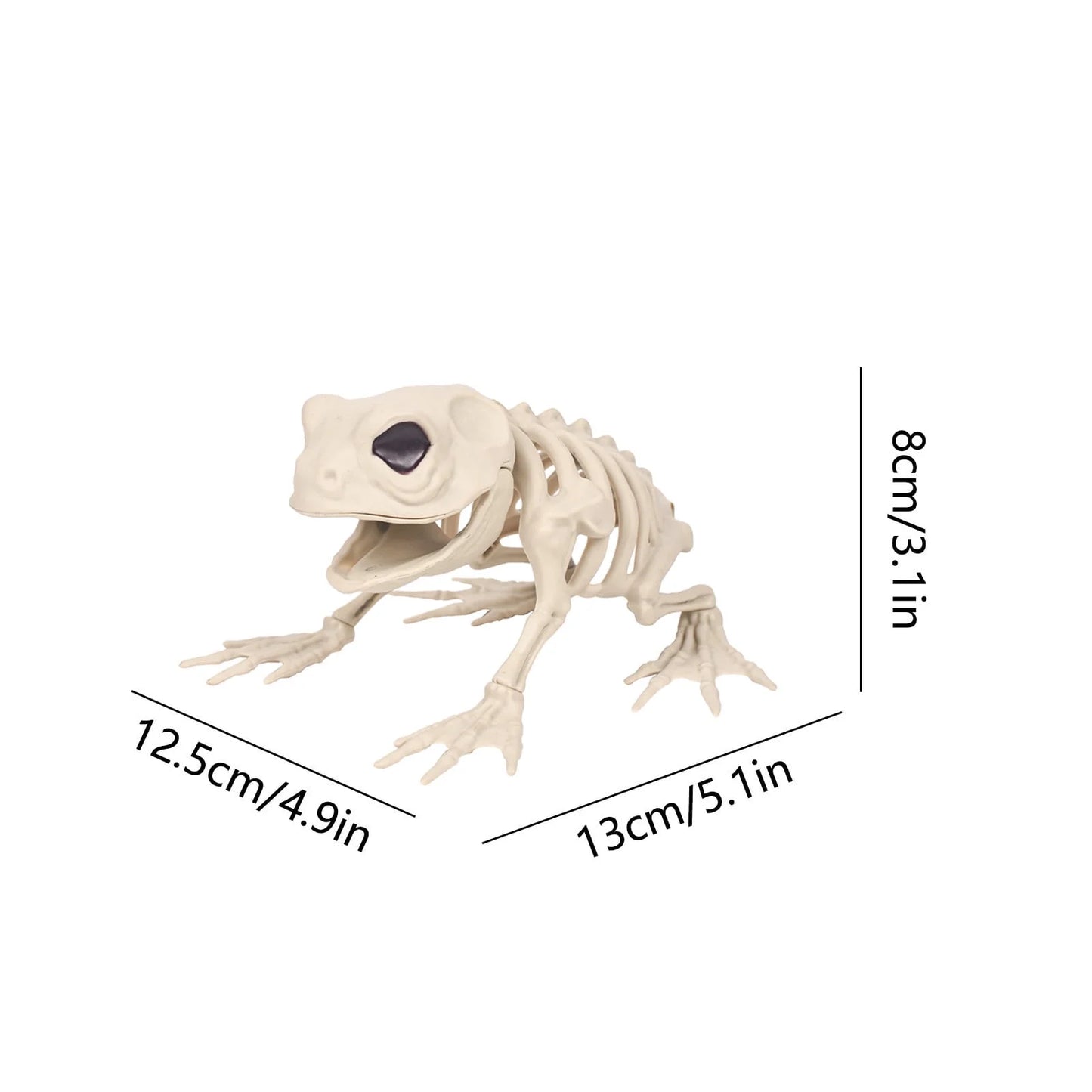 Halloween Decoration Halloween Skeleton Horror Decorations Simulation Animals Skeleton Ornaments Bar Decoration Frogs Skeleton on Clearance