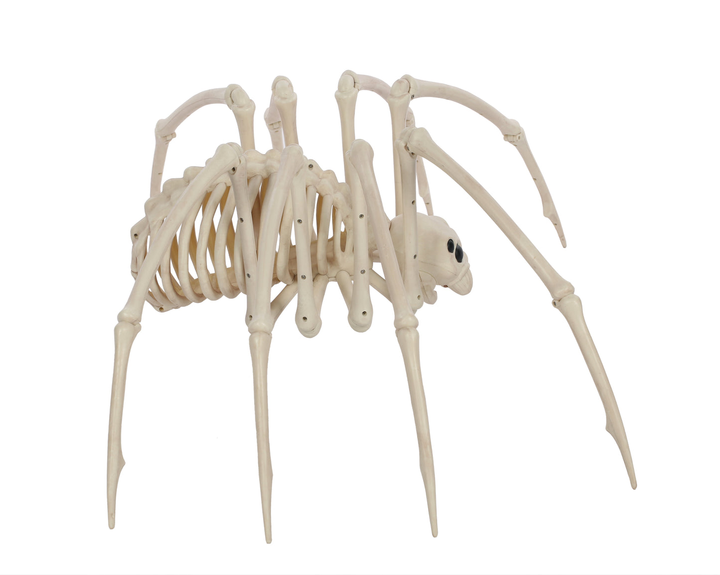 Halloween Skeleton Spider Decorative Prop - White