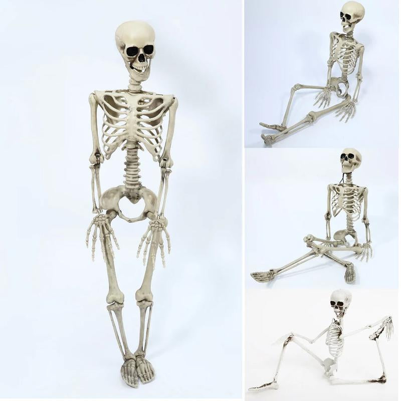 Large Halloween Skeleton Plastic Simulation Skull Skeleton Anatomical Skeleton Model Haunted House Bar Halloween Party Decoratio