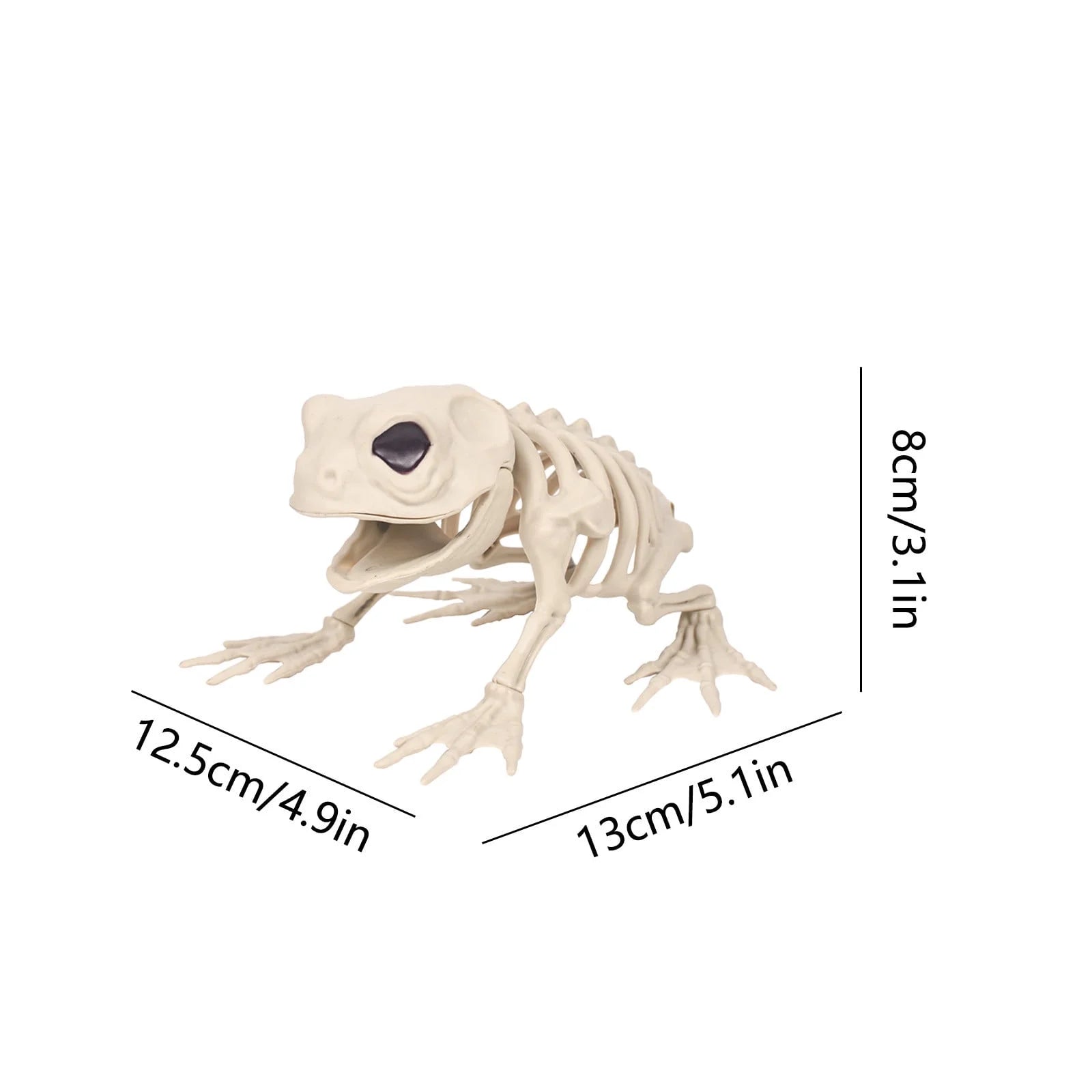 Halloween Decoration Halloween Skeleton Horror Decorations Simulation Animals Skeleton Ornaments Bar Decoration Frogs Skeleton on Clearance