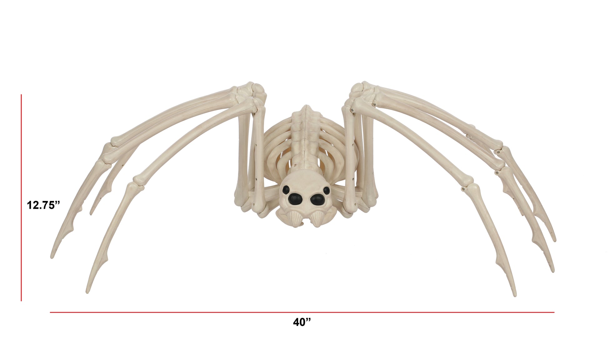 Halloween Skeleton Spider Decorative Prop - White
