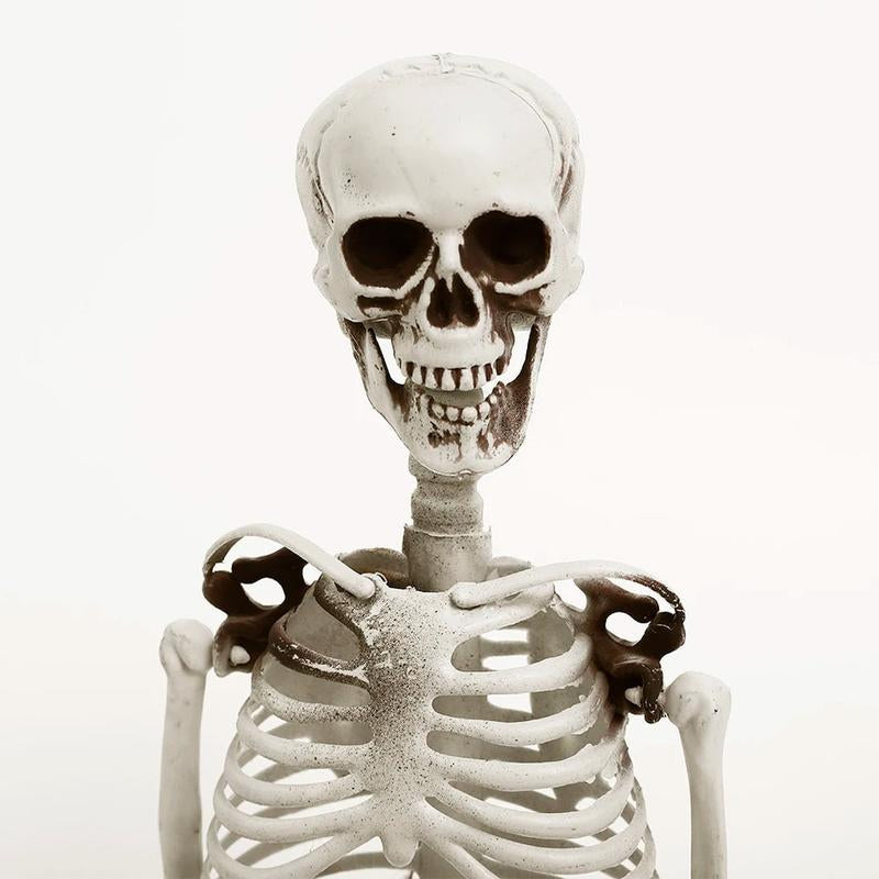 Large Halloween Skeleton Plastic Simulation Skull Skeleton Anatomical Skeleton Model Haunted House Bar Halloween Party Decoratio