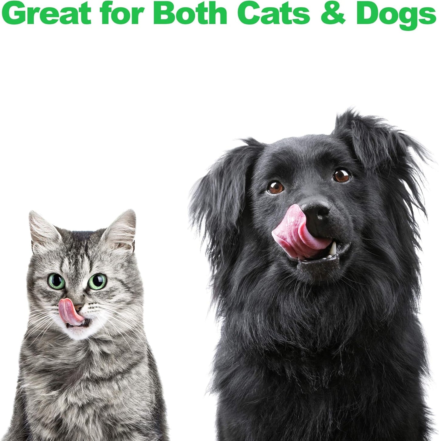 Elevated Dog and Cat Bowls - Decorative 6.5-Inch-Tall Raised Stand with 2 Stainless-Steel Food and Water Bowls - Hold 40Oz Each by  (Black)