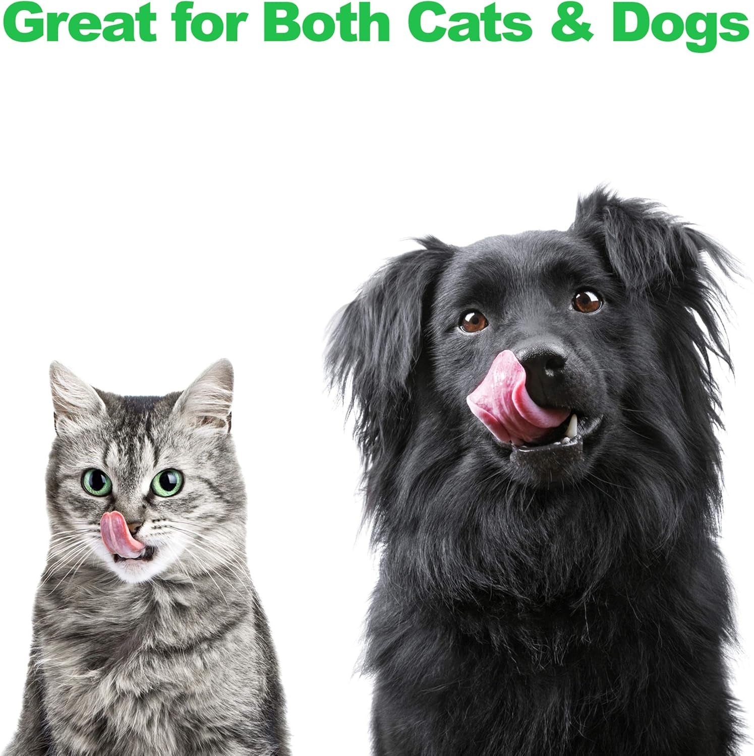 Elevated Dog and Cat Bowls - Decorative 6.5-Inch-Tall Raised Stand with 2 Stainless-Steel Food and Water Bowls - Hold 40Oz Each by  (Black)